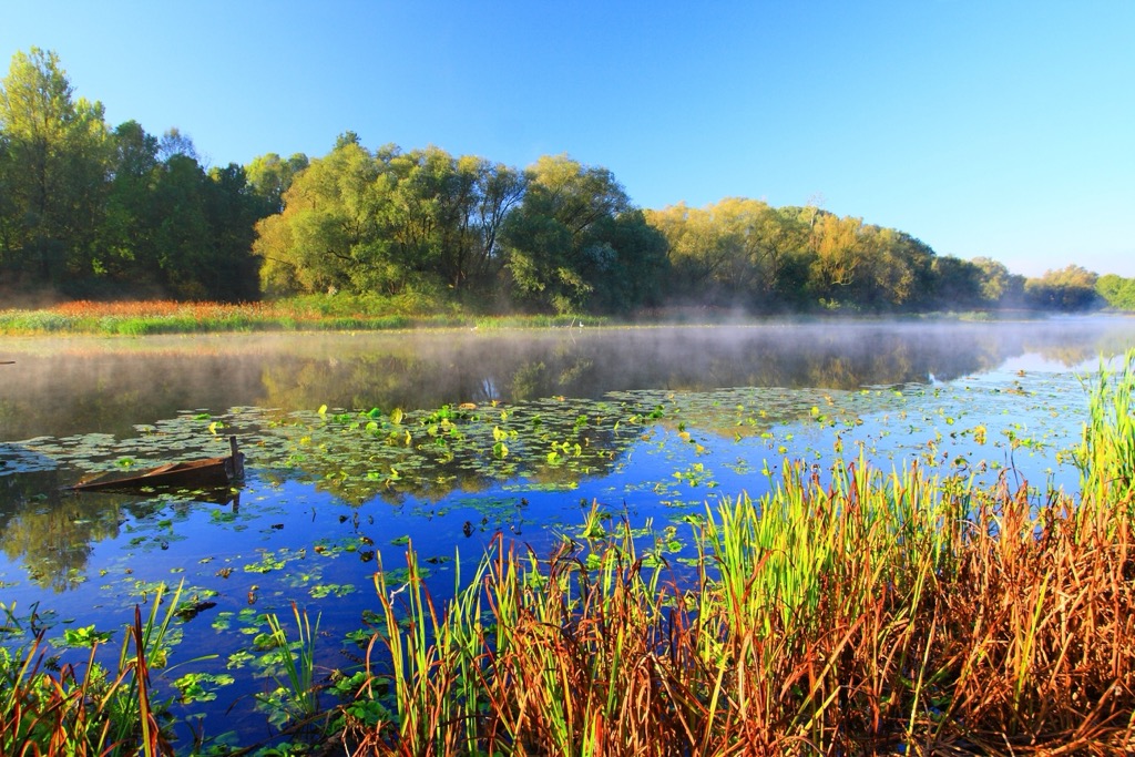 Lonjsko Polje Nature Park,Croatia