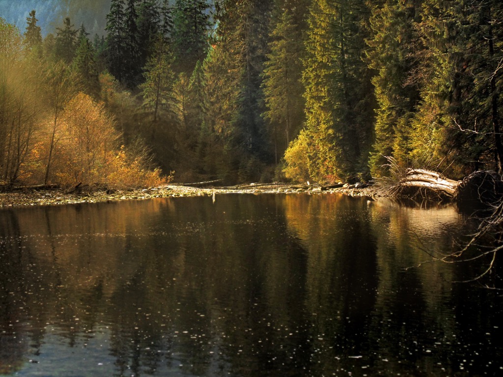 Lower Seymour Conservation Reserve, British Columbia