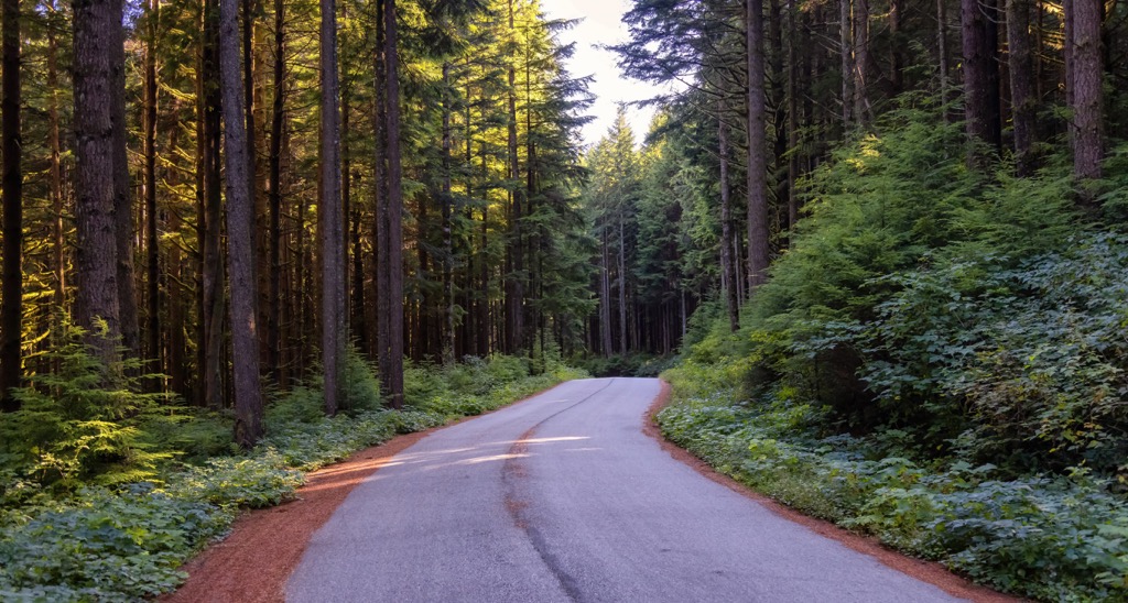 Lower Seymour Conservation Reserve, British Columbia