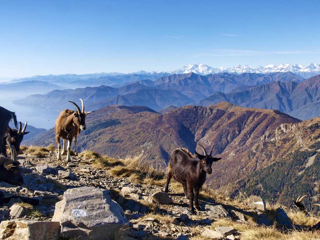Monte Tamaro, Lugano Prealps, Switzerland