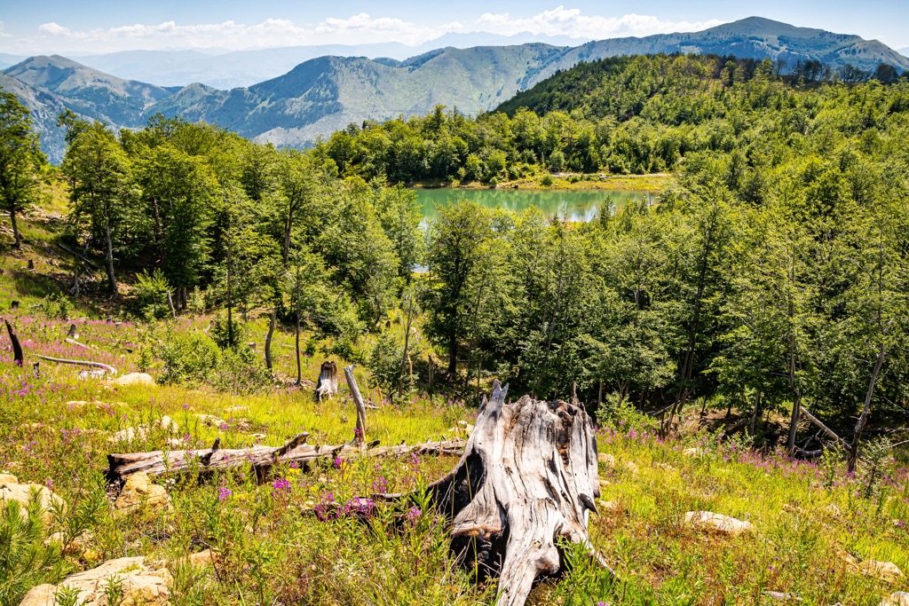 Lura-Dejes Mt National Park, Albania