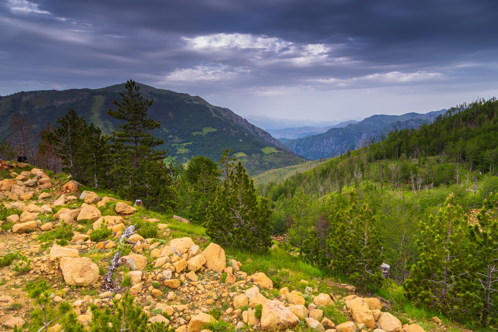 Lura-Dejes Mt National Park, Albania