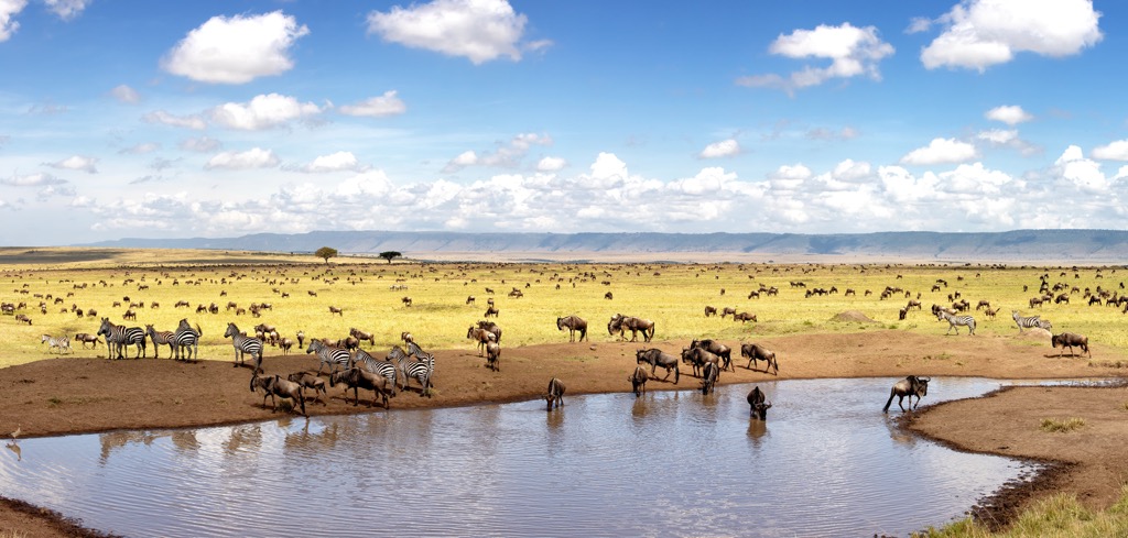 Maasai Mara National Reserve 