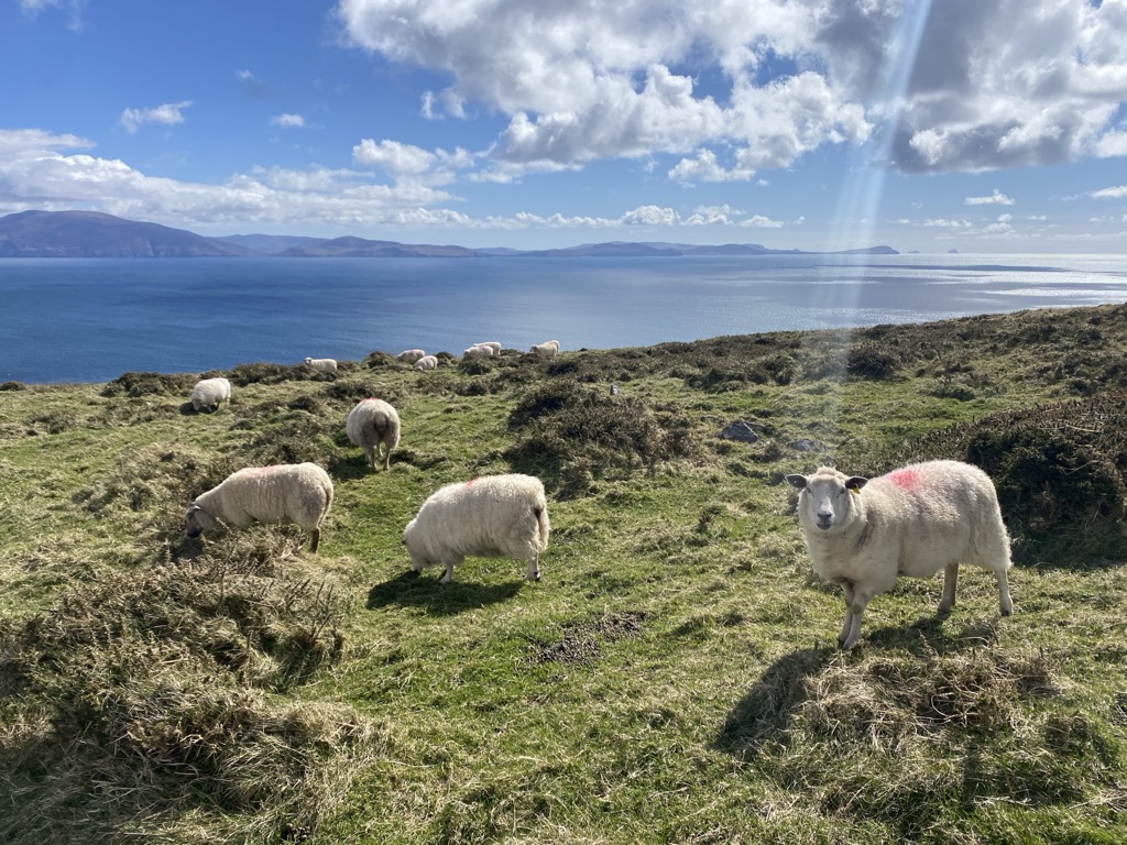 MacGillycuddy's Reeks, Ireland