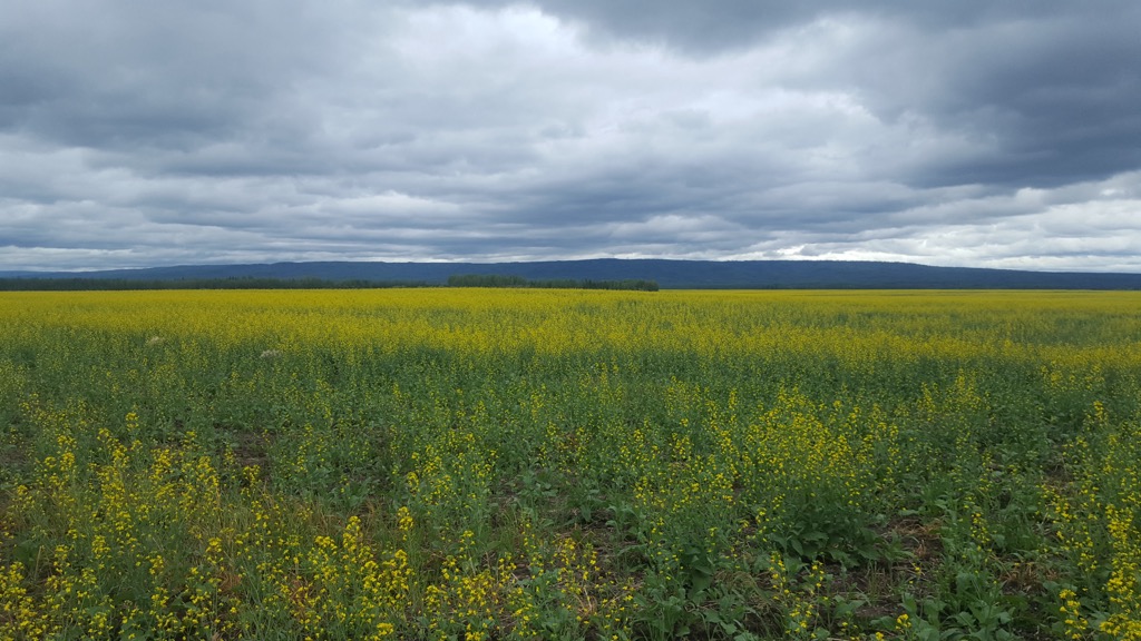 Mackenzie County, Alberta