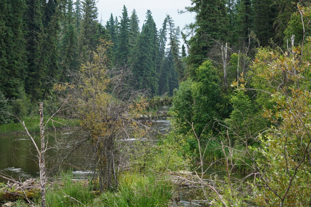 Mackenzie County, Alberta