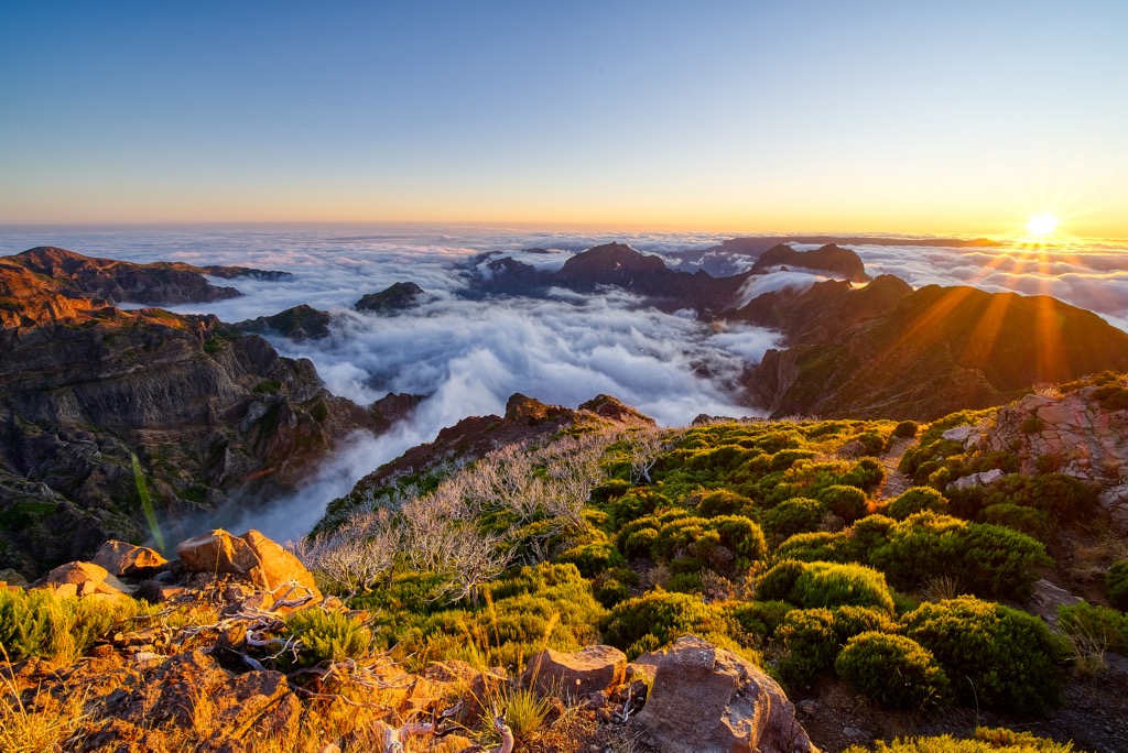 Madeira Island central mountainous massif Special Area of Conservation