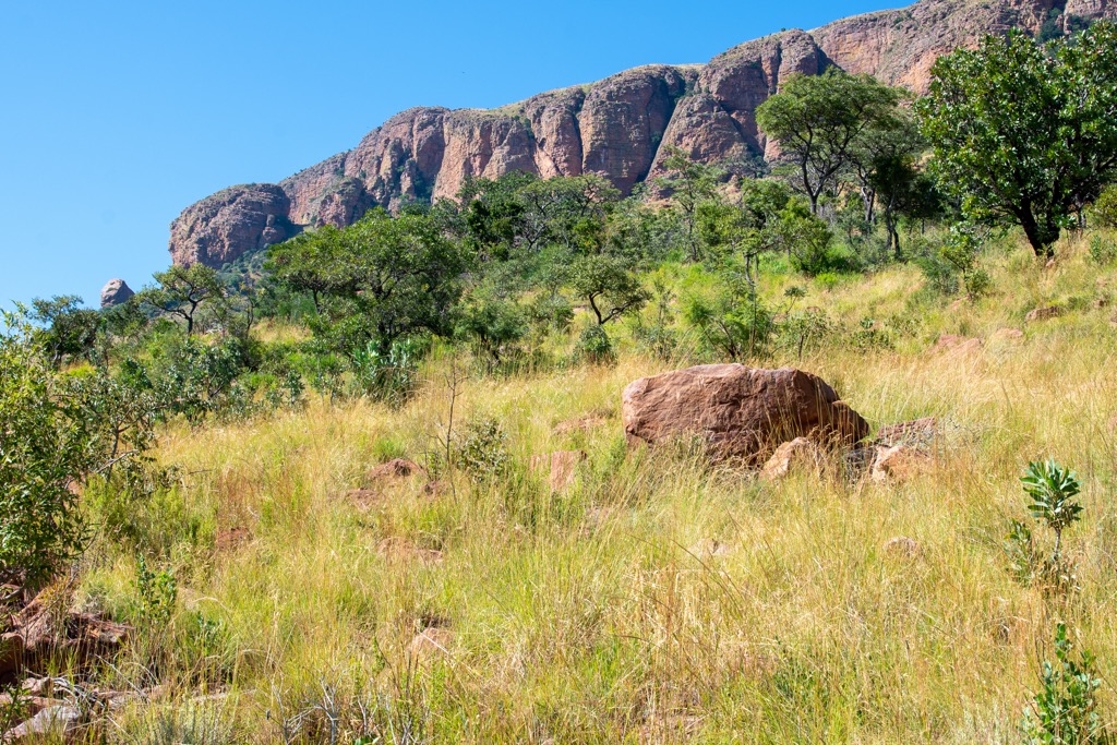 The cliffs of Kransberg. Magaliesberg