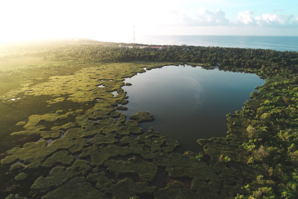 Fuvahmulah Nature Park at sunrise. Maldives