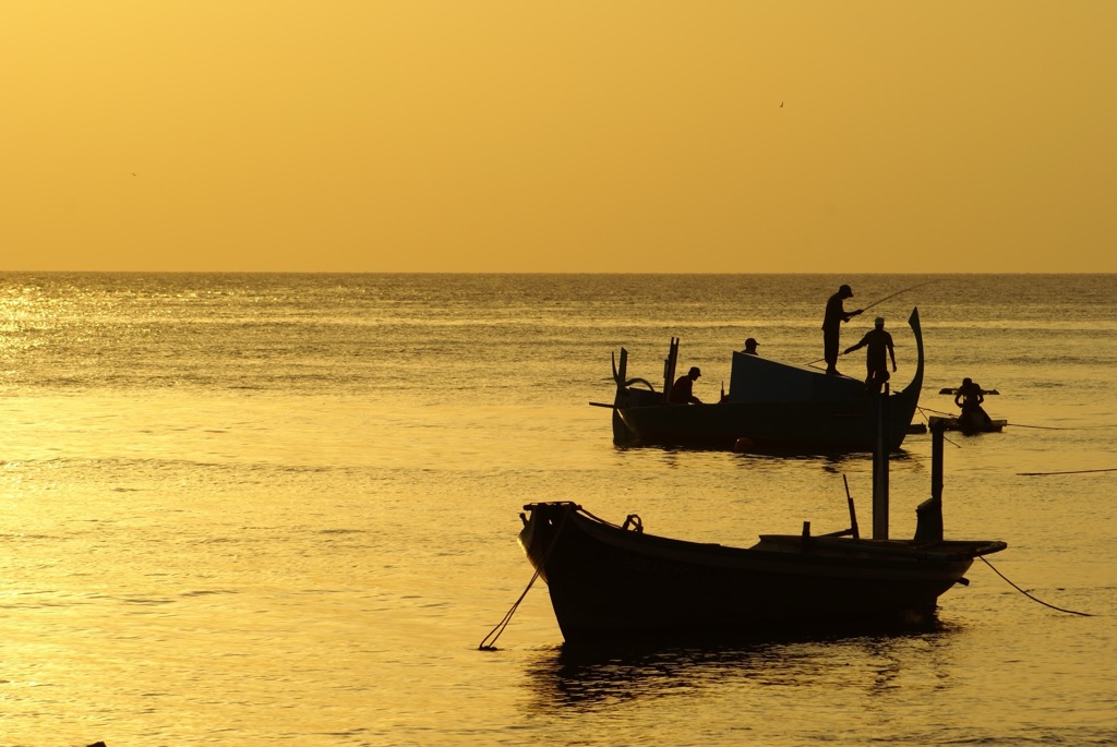 A traditional boat practicing pole and line fishing. Maldives