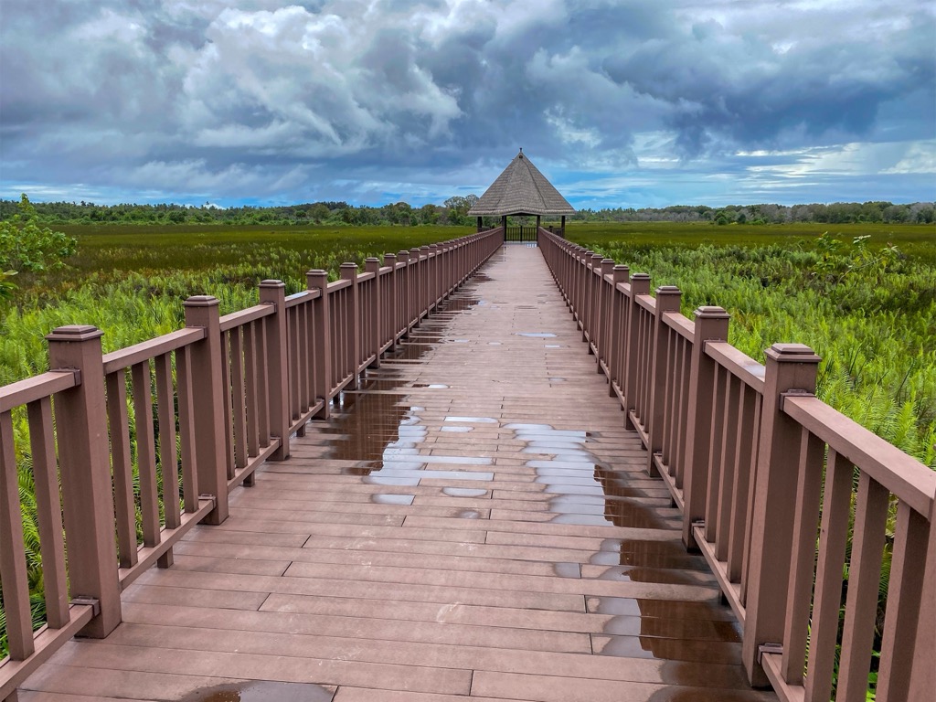 Elevated boardwalks lead the way in the Fuvahmulah Nature Park. Maldives