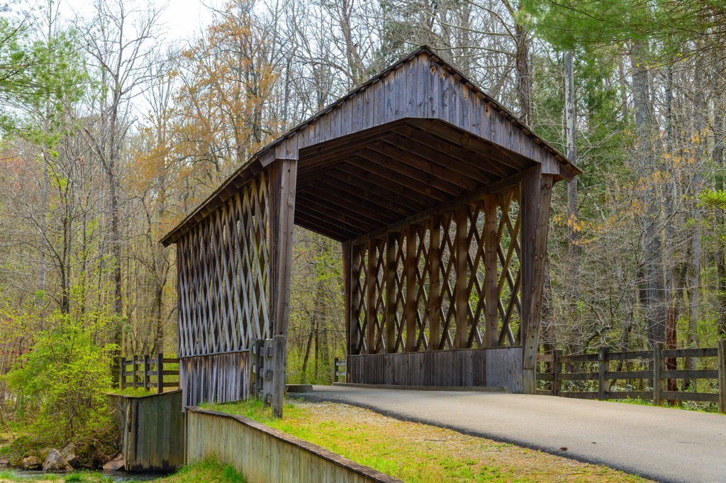 Mark Trail Wilderness, Georgia