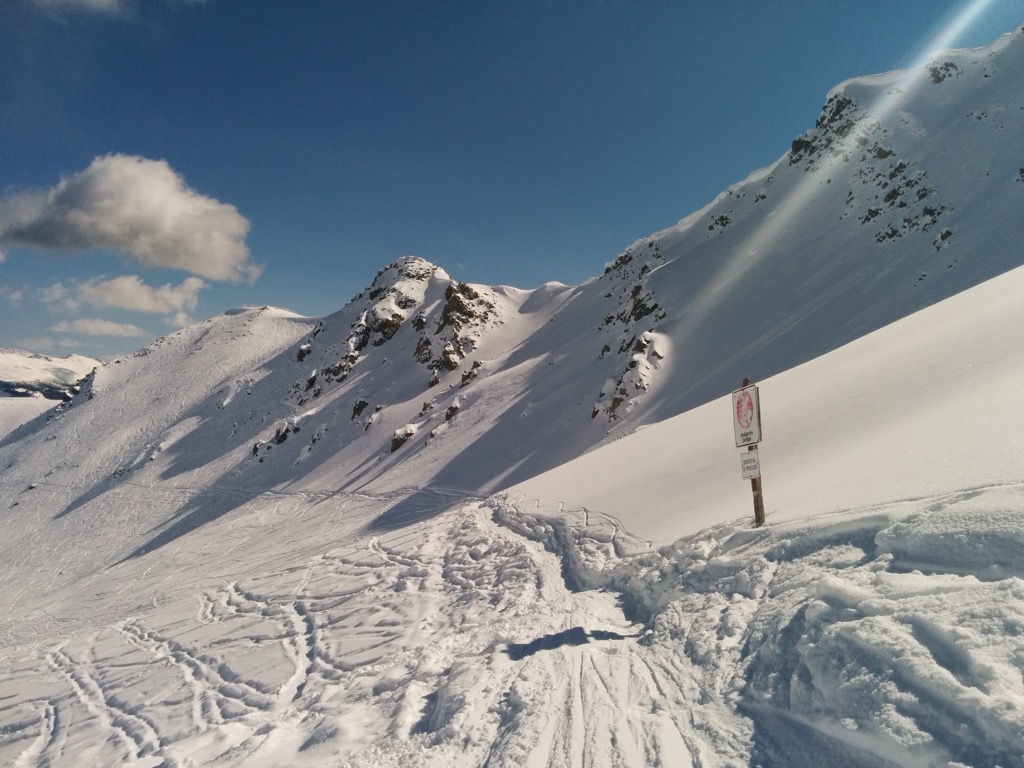 Off-piste skiing at Marmot Basin. Photo: Anthony Butt. Marmot Basin