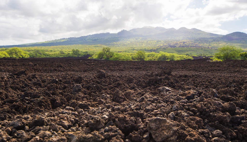 Volcanic rock from lava flows along South Maui. Maui County