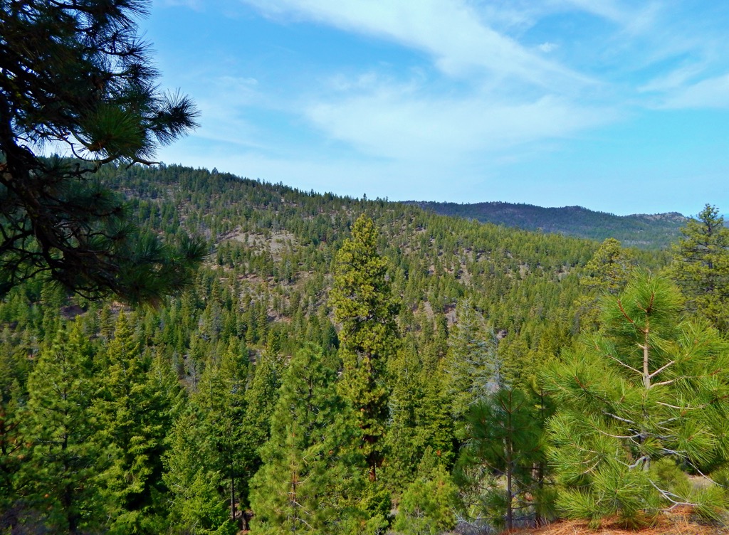Maury Mountains, Oregon