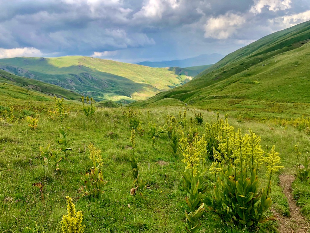 Mavrovo National Park, Albania, Macedonia