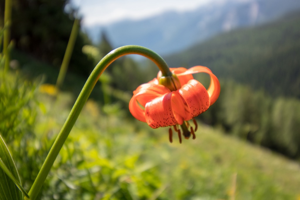 Medvednica Nature Park, Croatia
