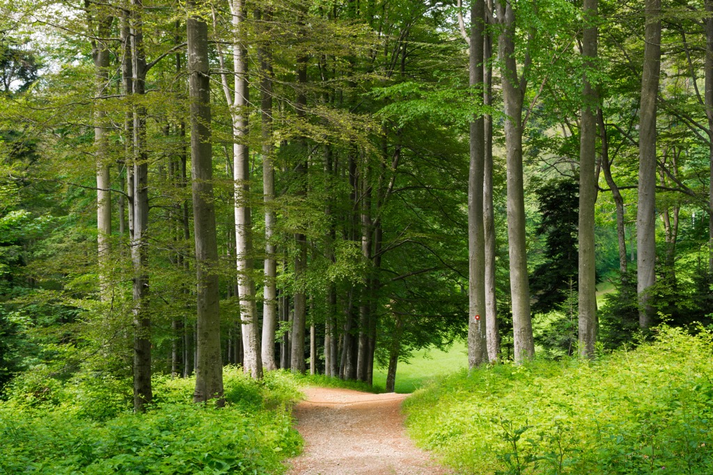 Medvednica Nature Park, Croatia