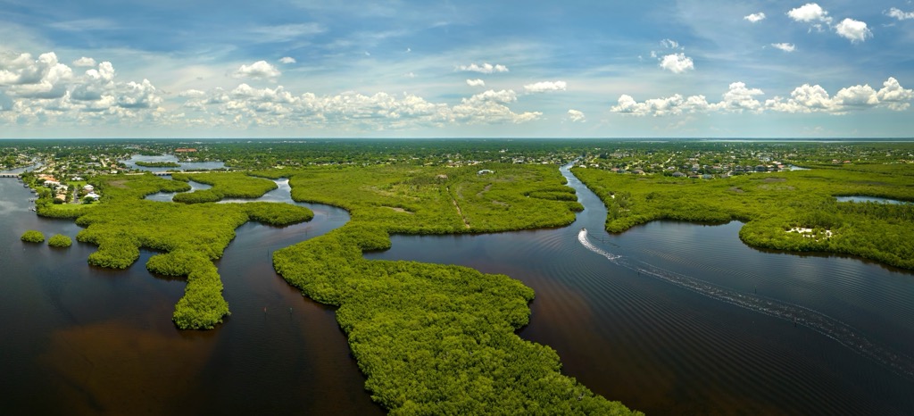 The Everglades are Miami-Dade County’s most prominent natural feature. Miami-Dade County