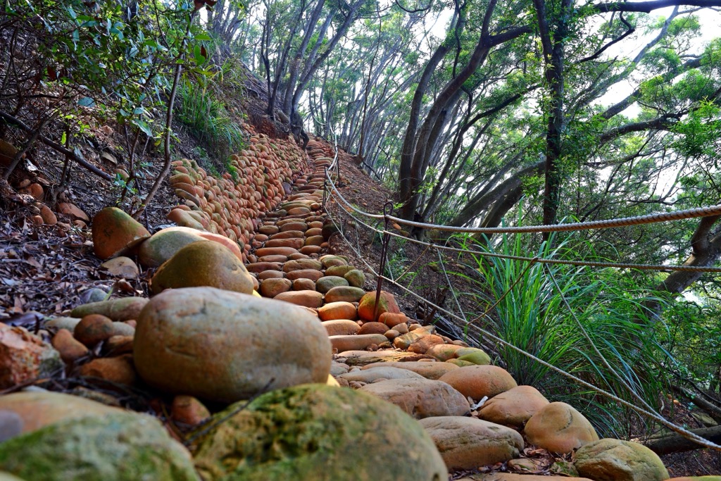 Miaoli Sanyi Houyan Mountain Nature Reserve, Taiwan