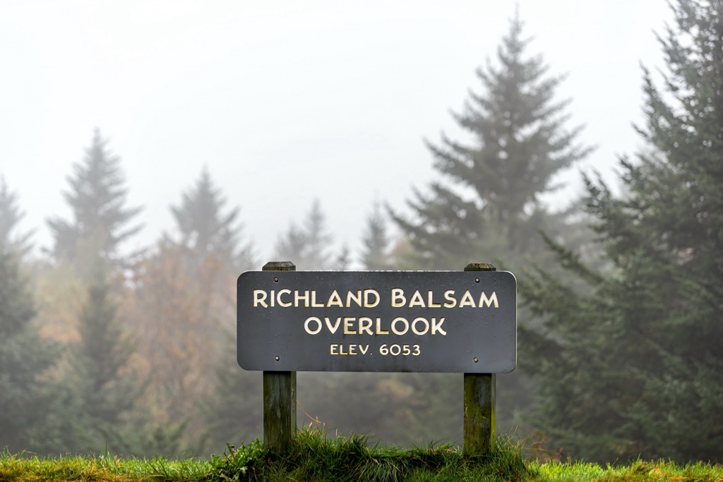 Middle Prong Wilderness, North Carolina