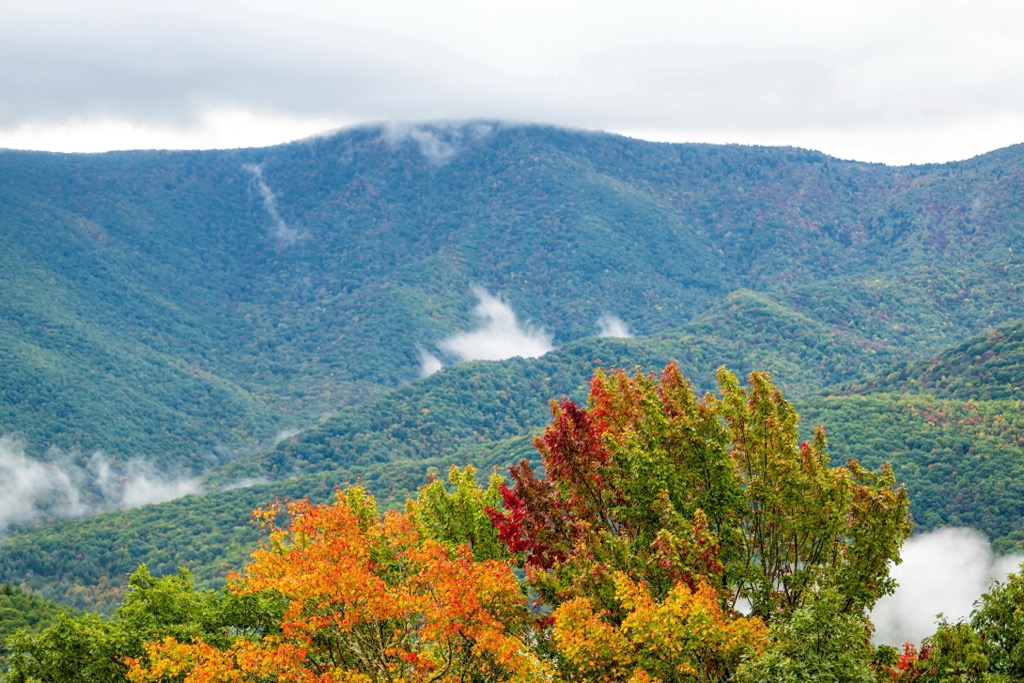 Middle Prong Wilderness, North Carolina