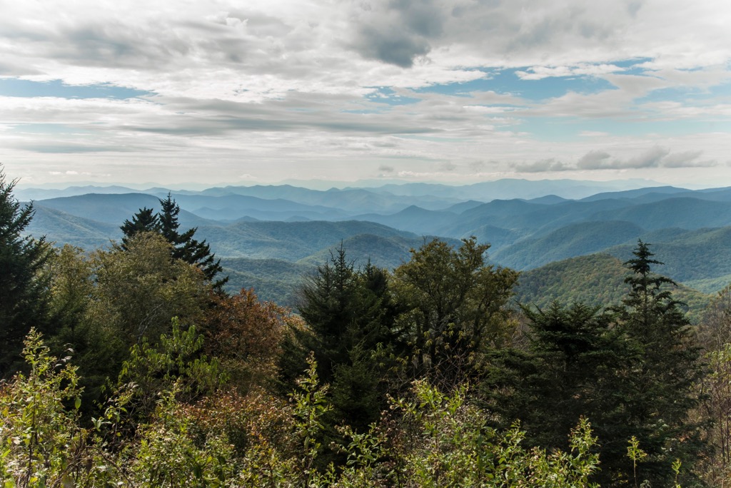 Middle Prong Wilderness, North Carolina