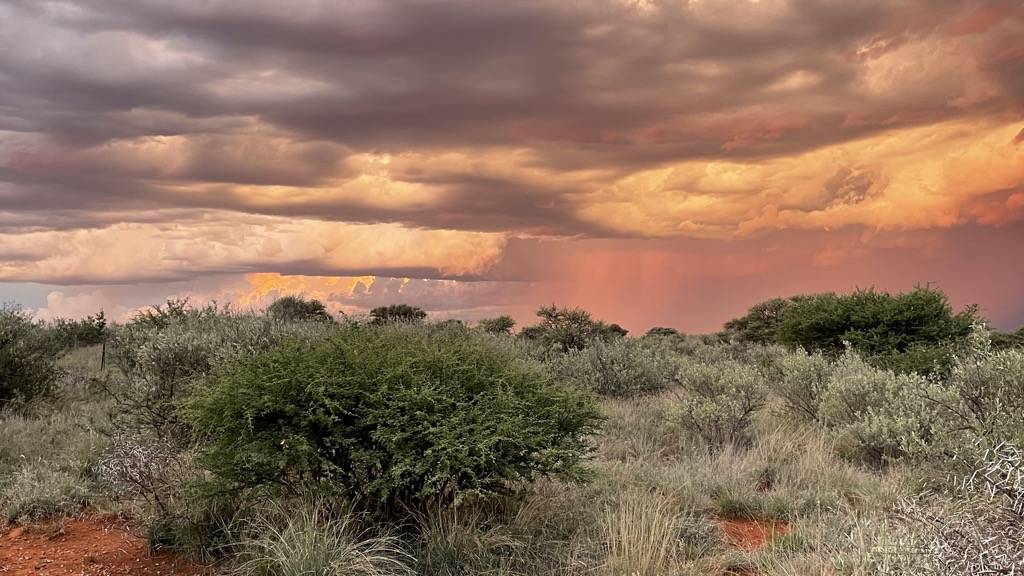  Mokala National Park