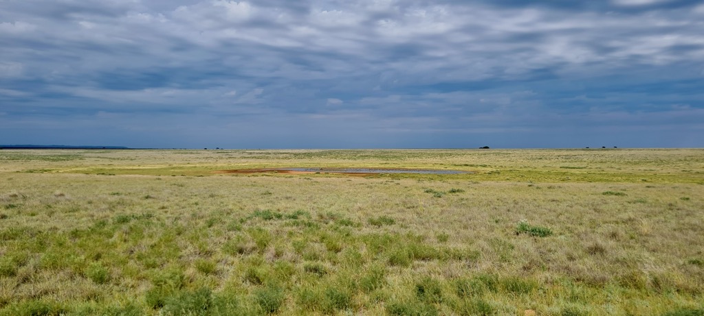  Mokala National Park