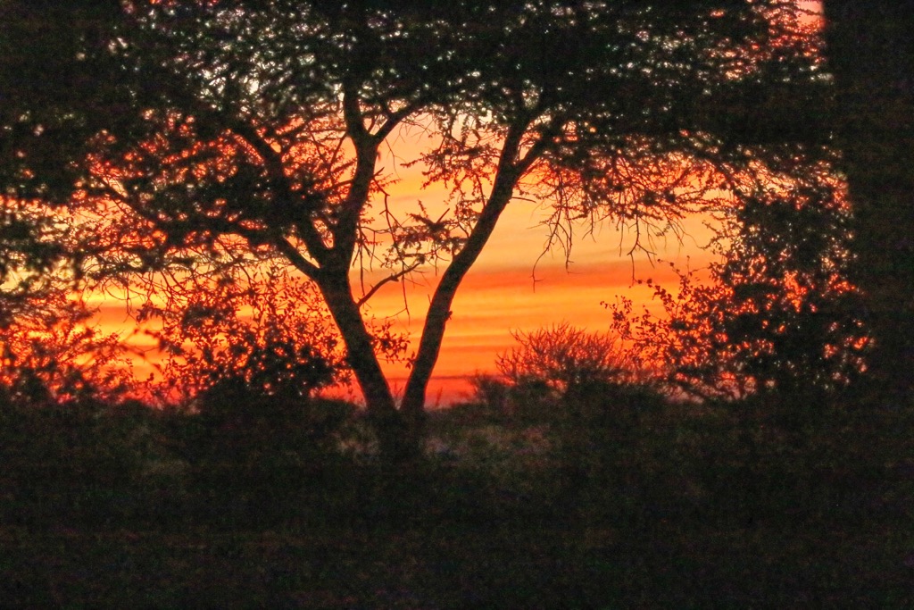 Sunset in Mokala National Park. Mokala National Park