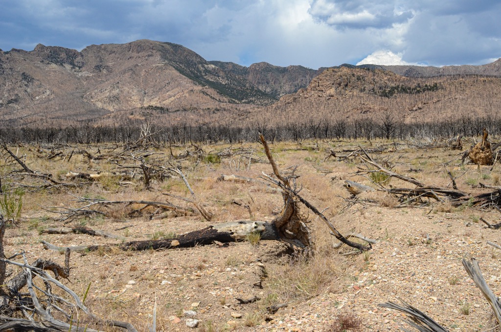 Monitor Range, Elkhorn Canyon, Nevada, USA