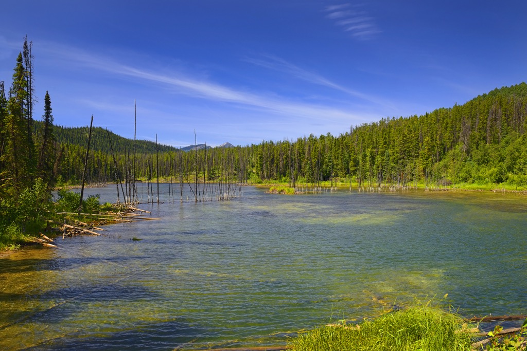 The Green Bowl, a small lake in Monkman Provincial Park that forms a rare alpine wetland. Monkman Provincial Park