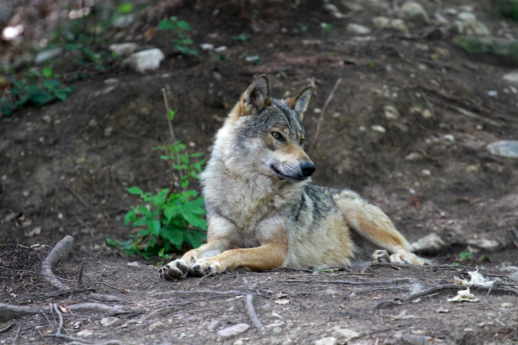 Monti Picentini, Italy