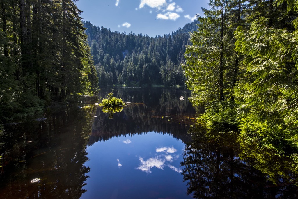 Morning Star Natural Resource Conservation Area (NRCA), Washington