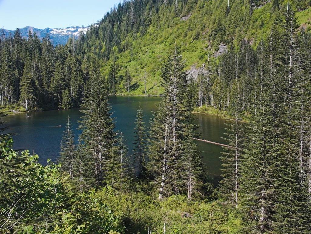 Morning Star Natural Resource Conservation Area (NRCA), Washington