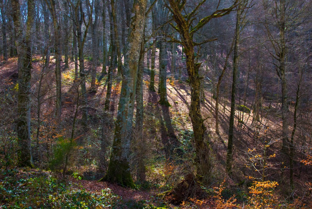 Mount Cimino, Viterbo, Italy