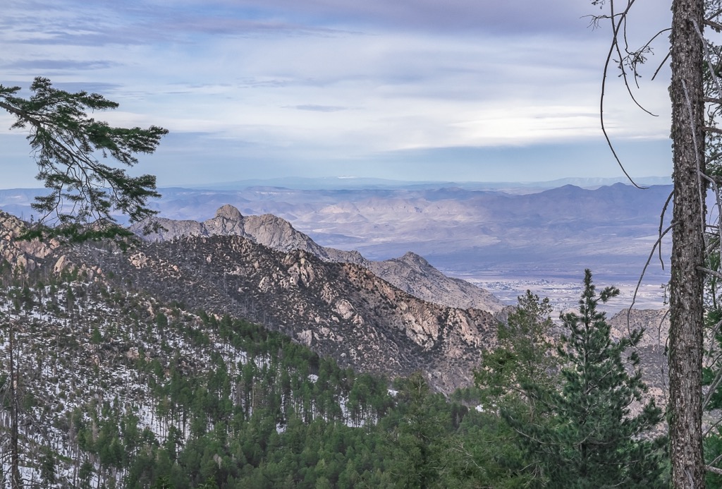 Mount Graham, Pinaleno Mountains, Arizona, USA