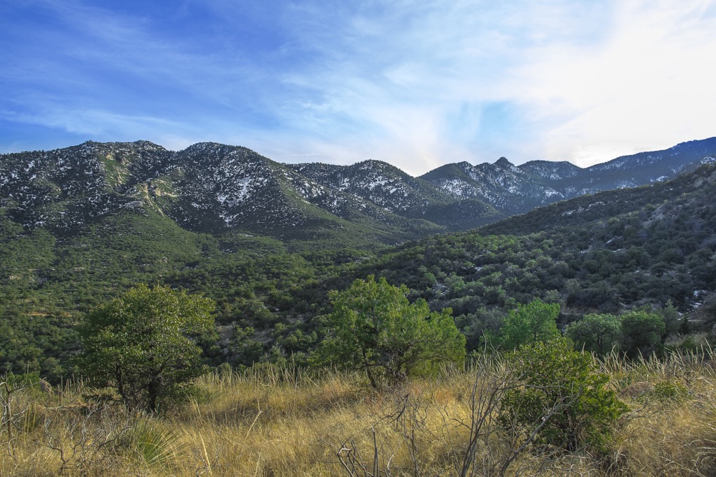 Mount Graham off Swift Trail, Pinaleno Mountains, Arizona, USA