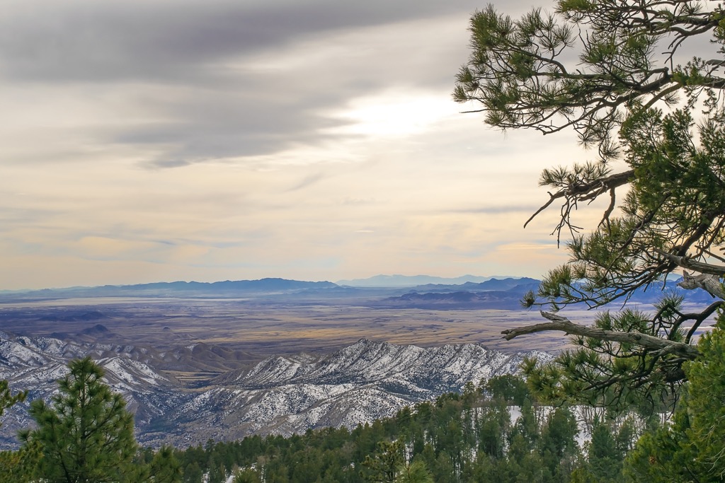 Mount Graham Wilderness Studay Area, Arizona