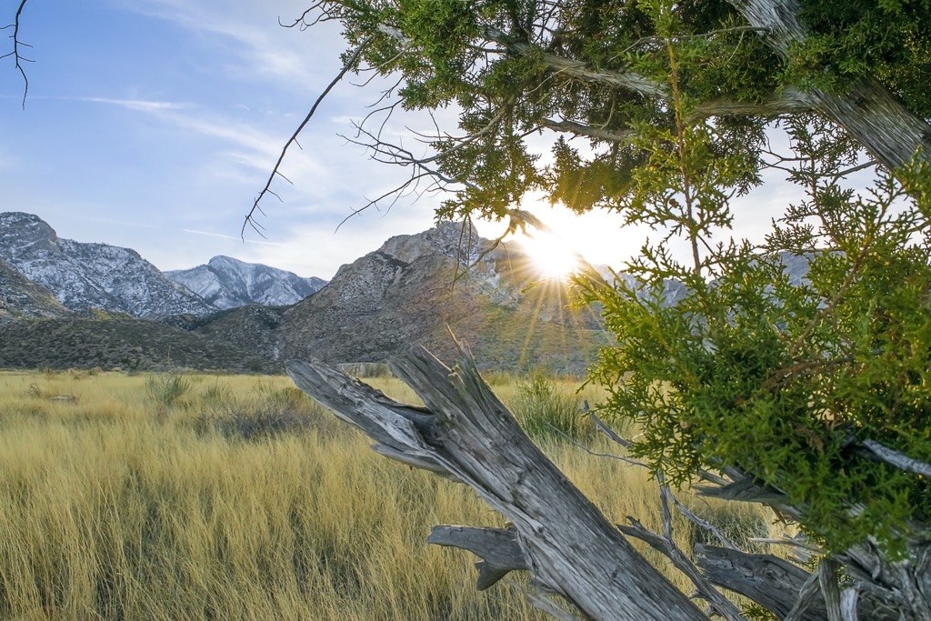 Mount Graham Wilderness Studay Area, Arizona