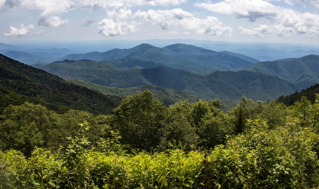 Mount Mitchell State Park