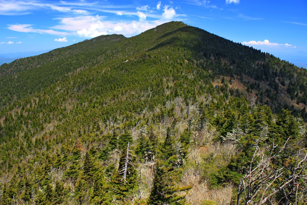 Mount Mitchell State Park, North Carolina