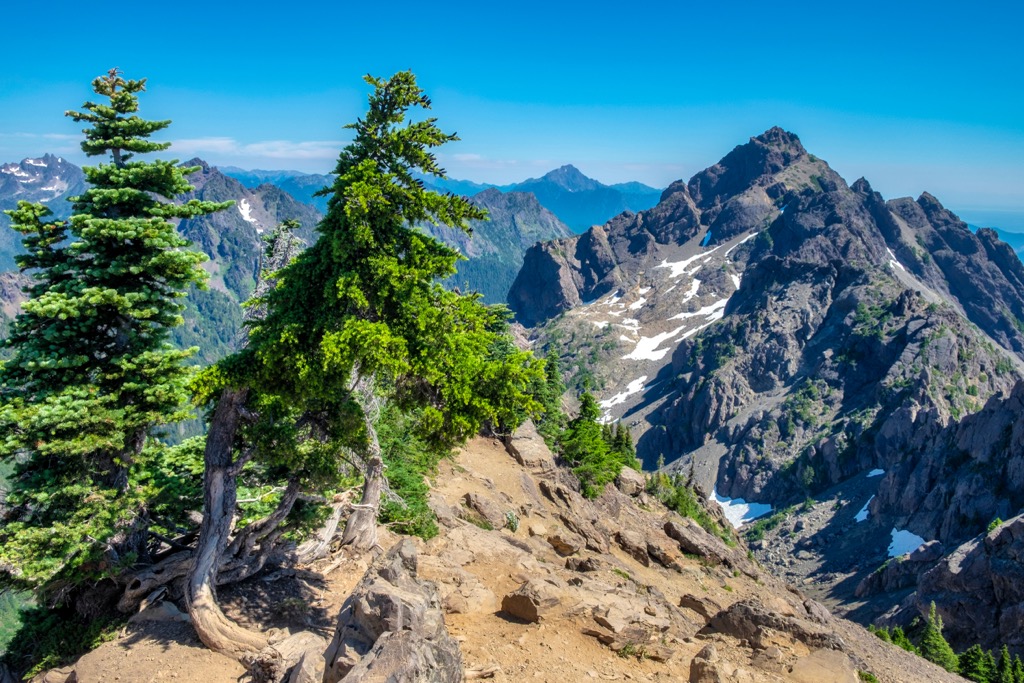 Mount Skokomish Wilderness