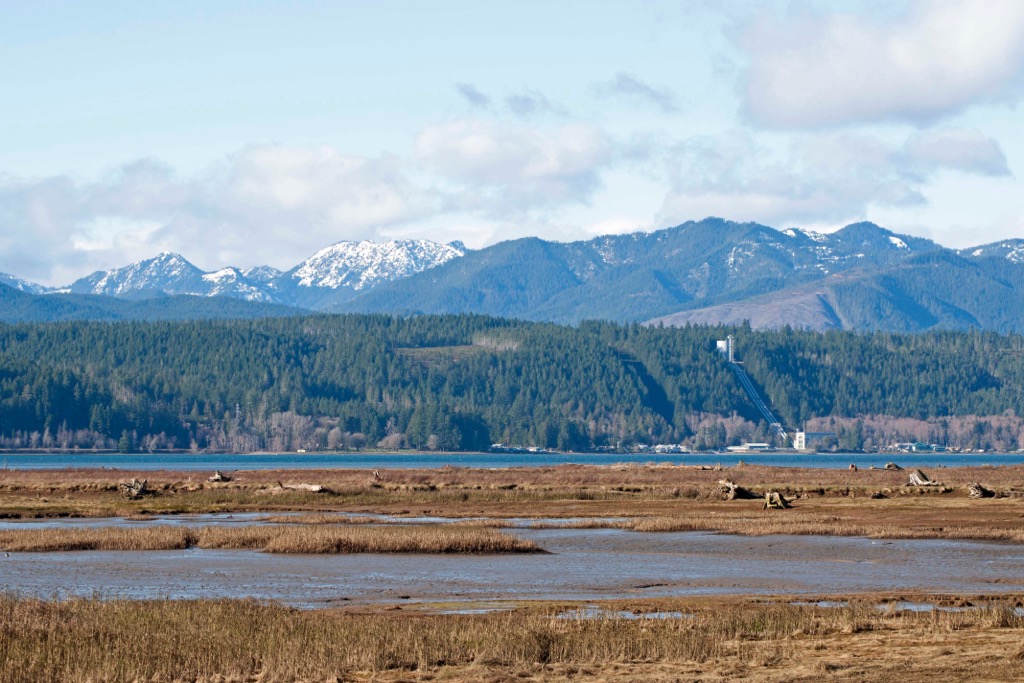 Mount Skokomish Wilderness, Washington