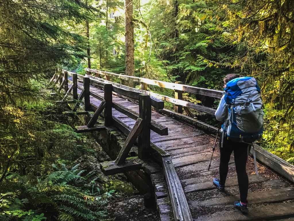 Mount Skokomish Wilderness, Washington