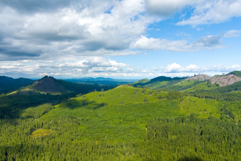 Mount Skokomish Wilderness, Washington