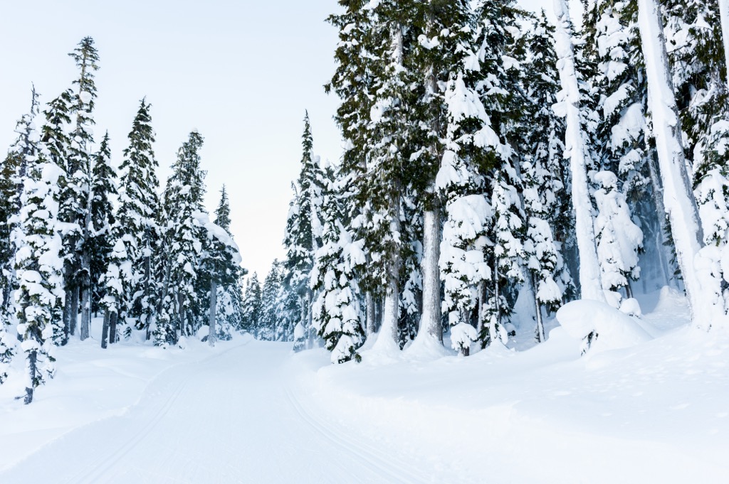 Nordic trails at Mount Washington. Mount Washington Resort