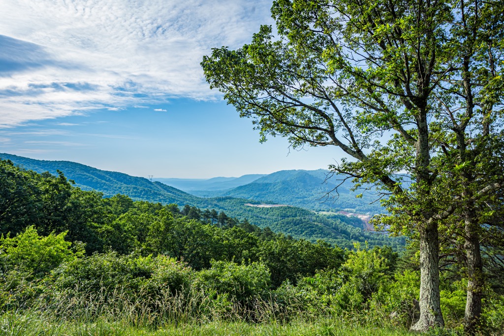 Mountain Lake Wilderness,  Virginia