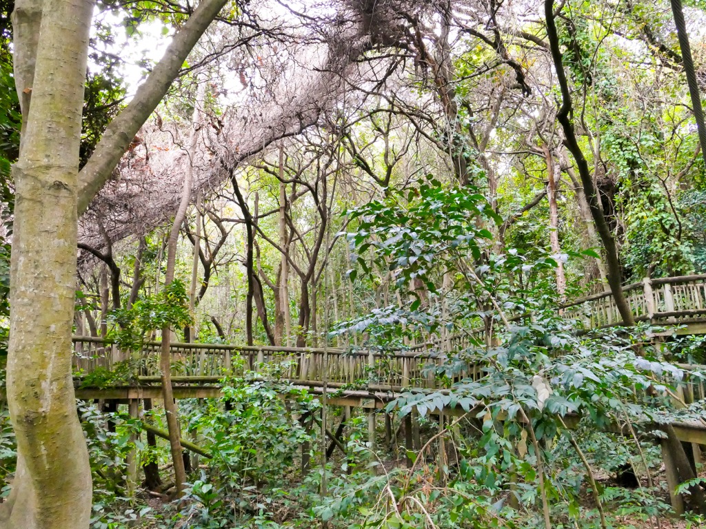 The Lowveld National Botanical Garden. Mpumalanga