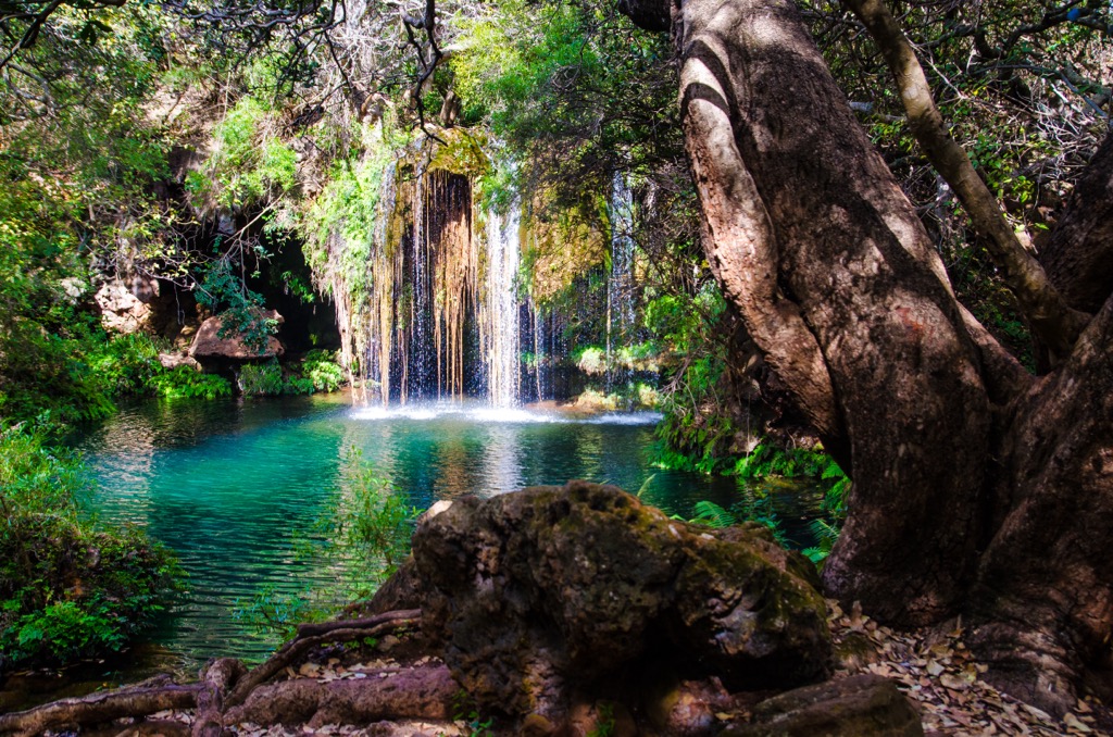 A waterfall along the Loerie Trail in the Blyde River Canyon. Mpumalanga